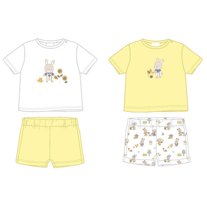 Conjunto Punto 4p