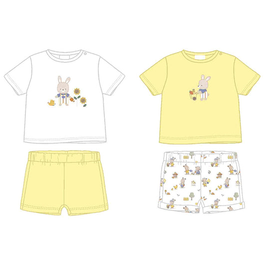Conjunto Punto 4p