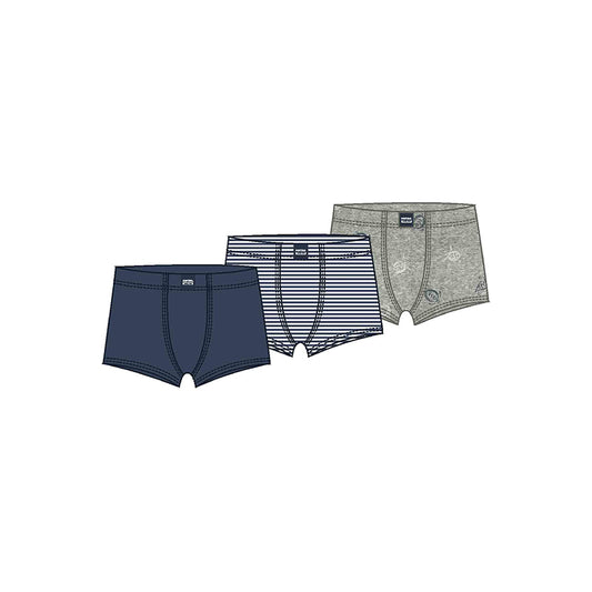 Set 3 Boxeres