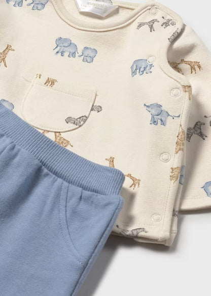 Conjunto polaina estampado
