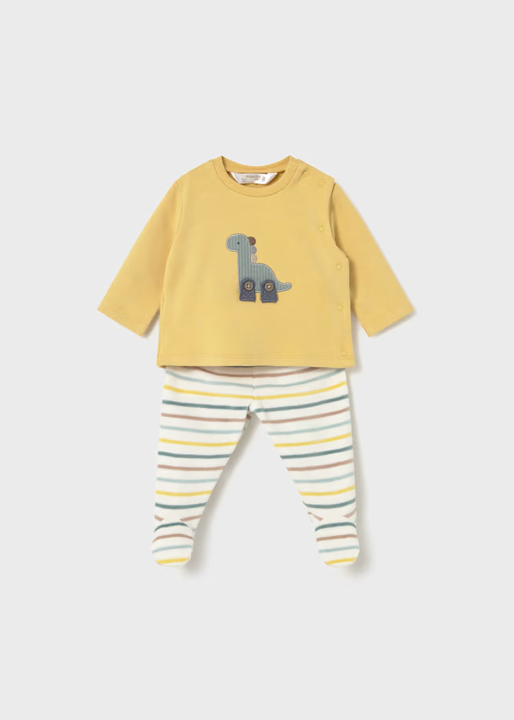 Conjunto polaina miel