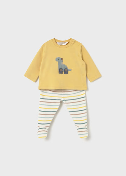 Conjunto polaina miel