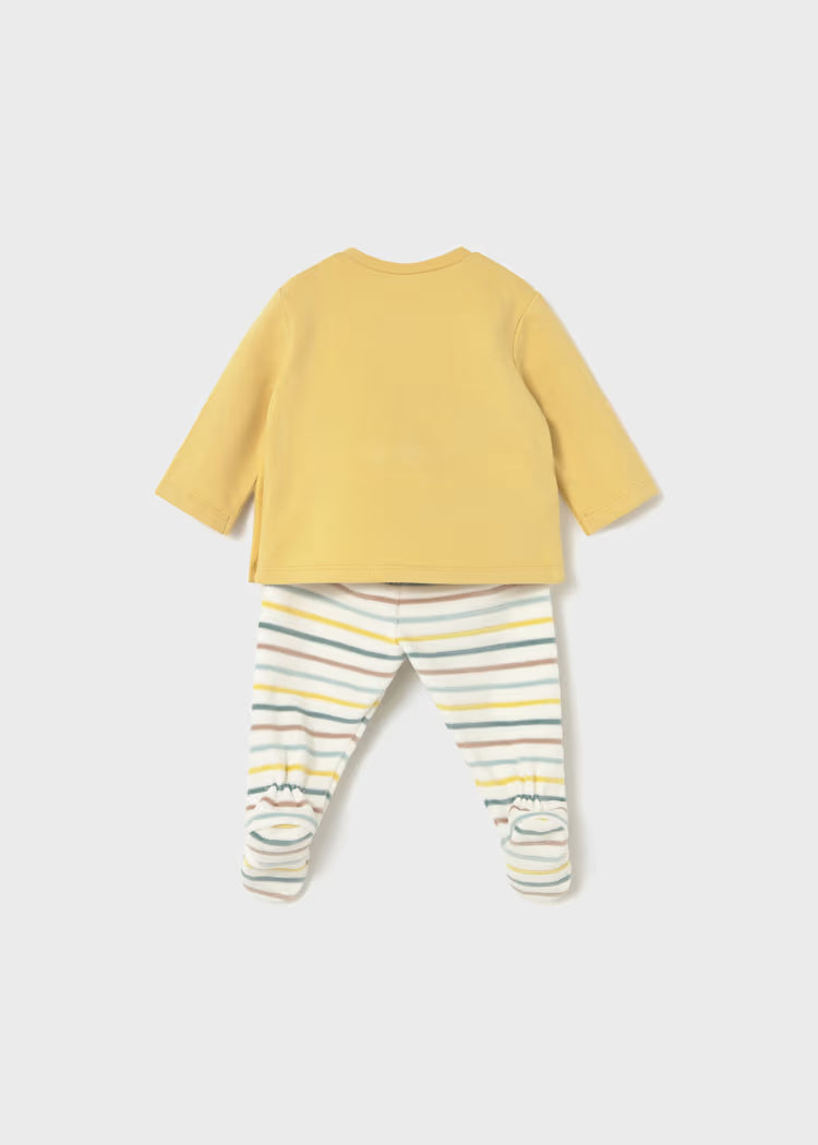 Conjunto polaina miel